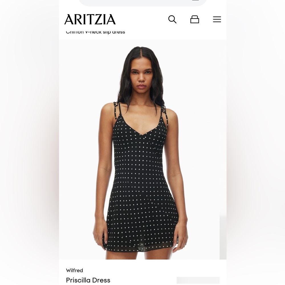 NWT Aritzia Priscilla Dress Size Small